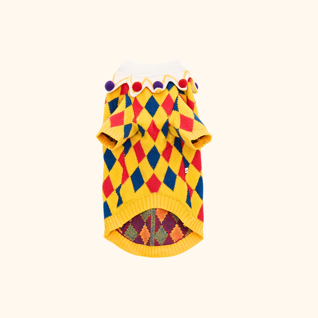 Circus Fun Pet Sweater