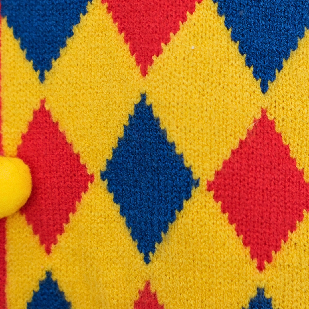 Circus Fun Pet Sweater
