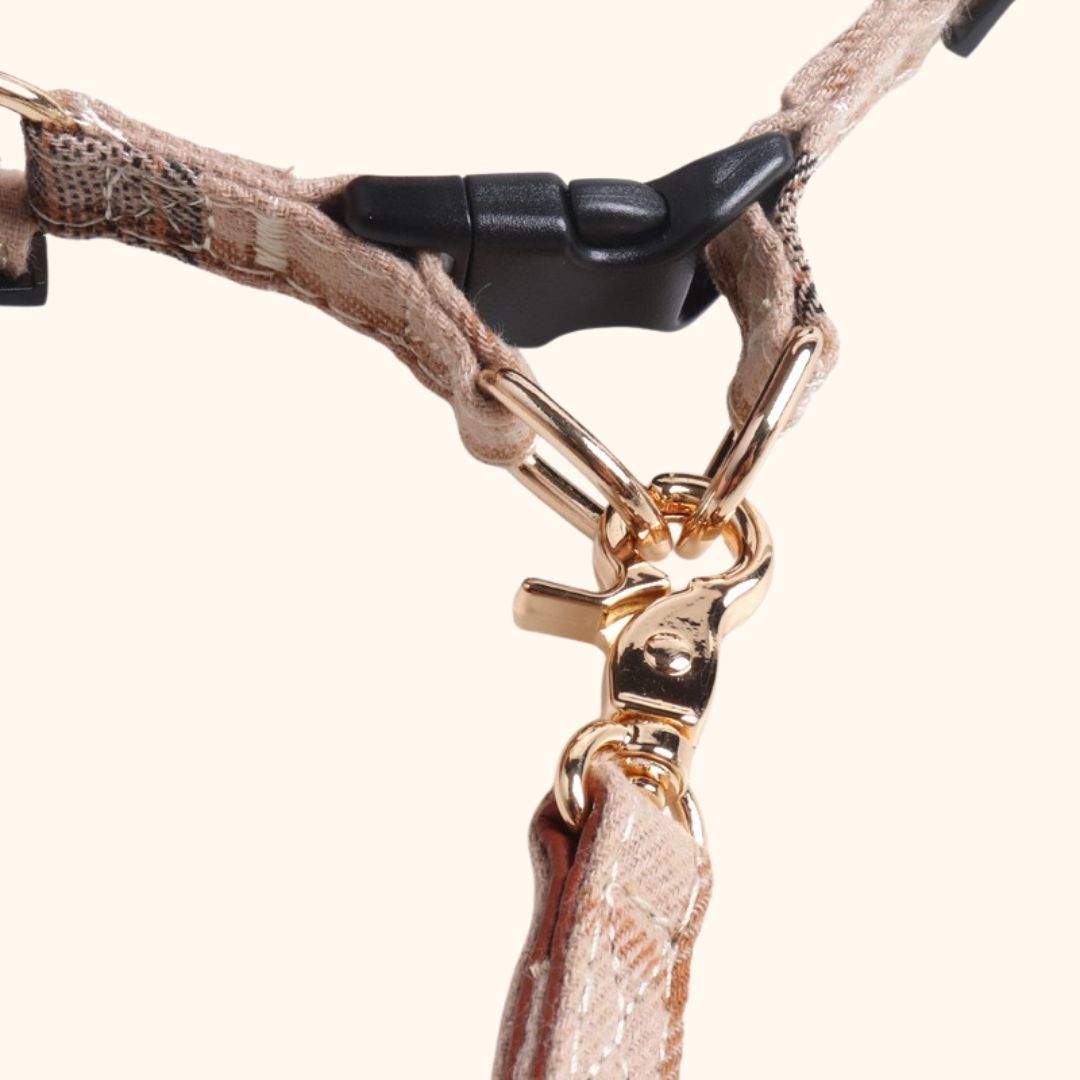 British-Style Suede Velvet Harness