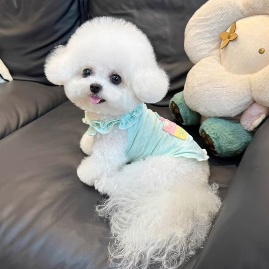 Coolflex Pet Vest