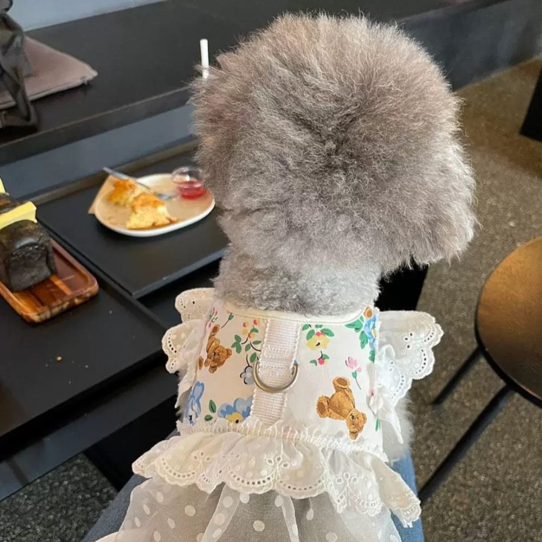 Teddy Lace Cotton Harness Set