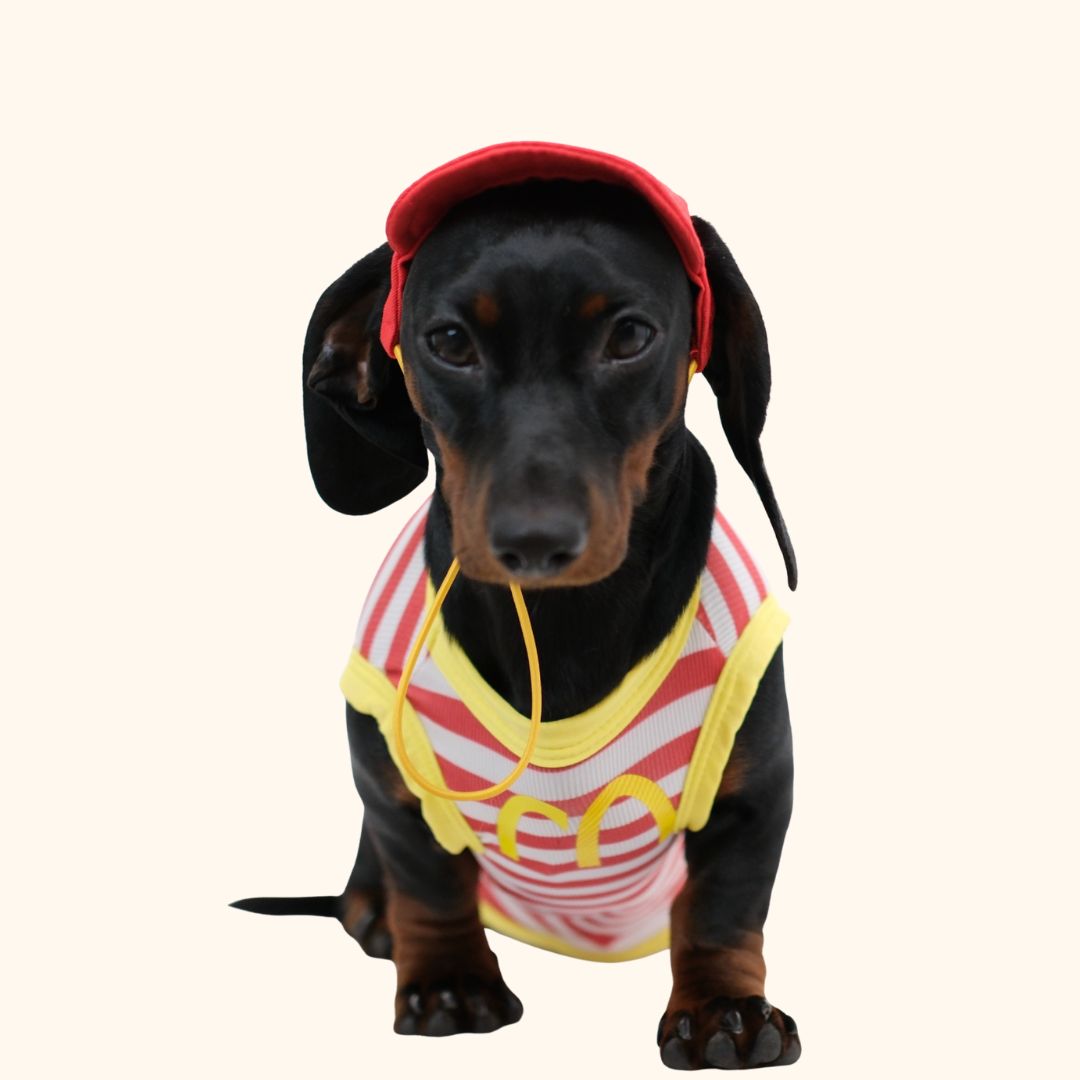 McDonald’s Pet Clothes Hat Set