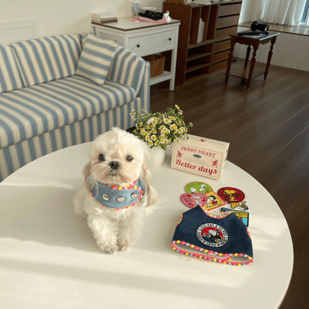 Snoopy Denim Pet Harness