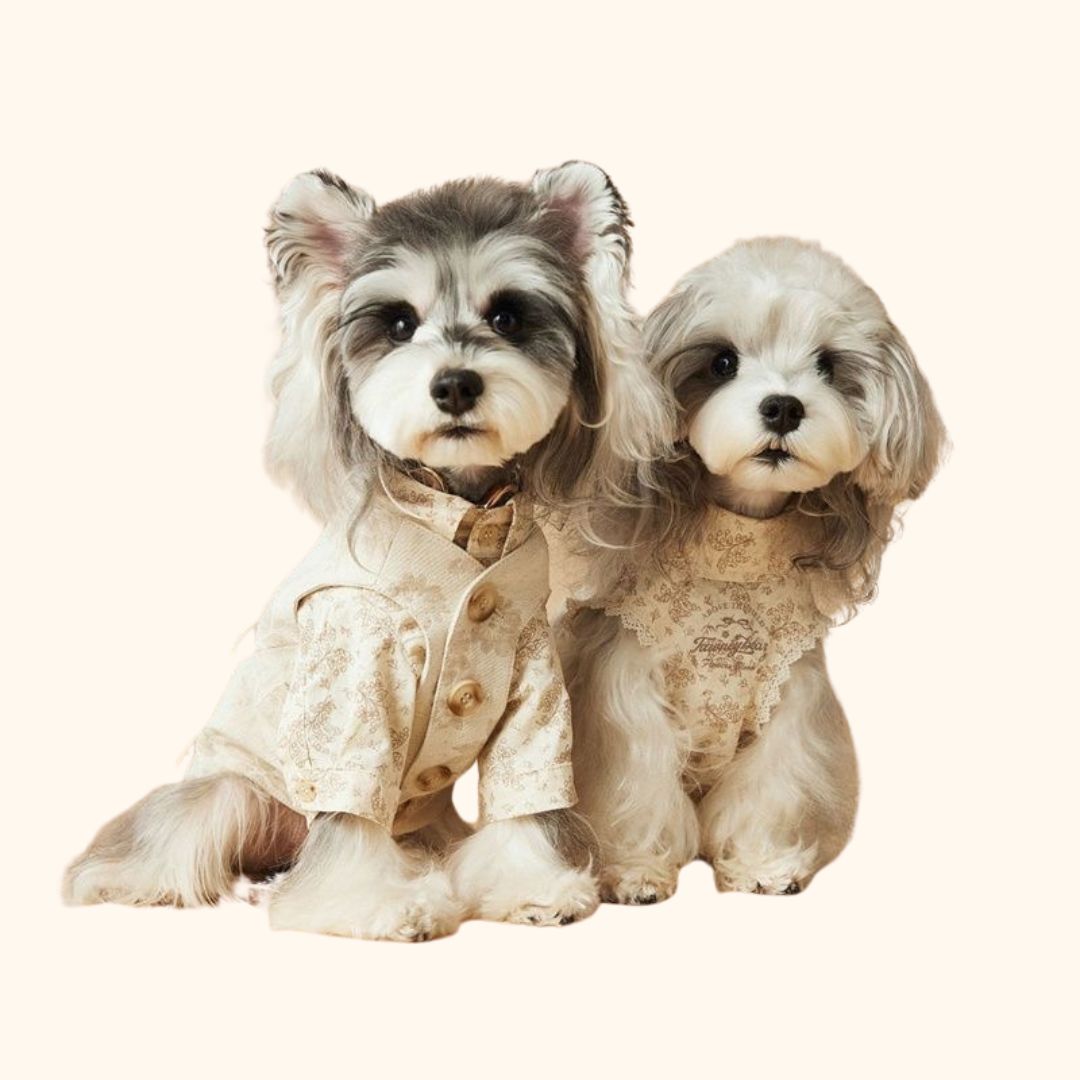 Printed Lightweight Pet Jacket