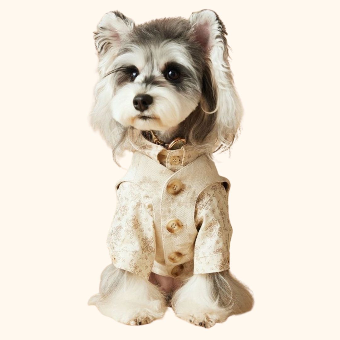 Printed Lightweight Pet Jacket