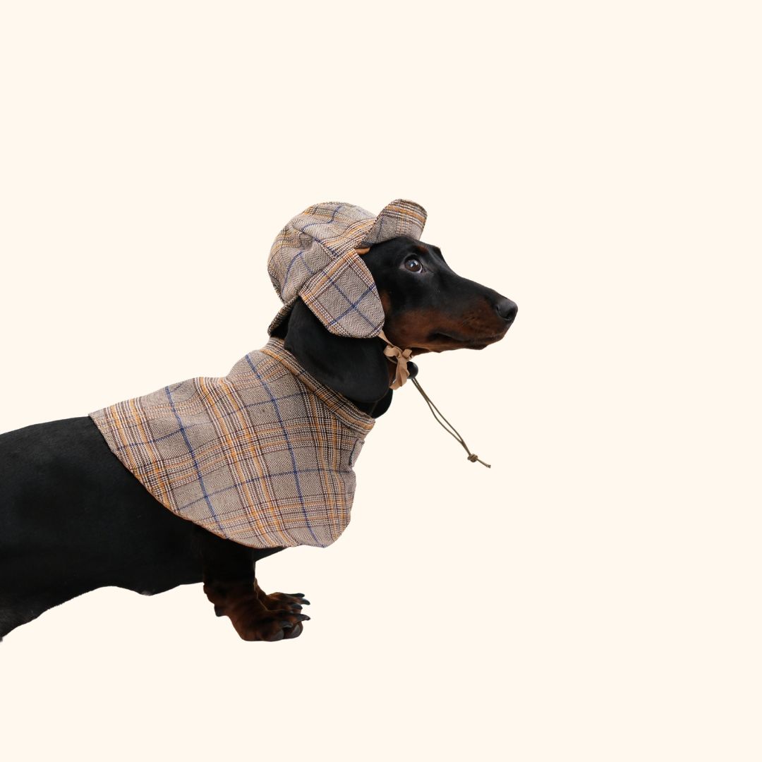 Sherlock Hound Detective Costume Set for Pets