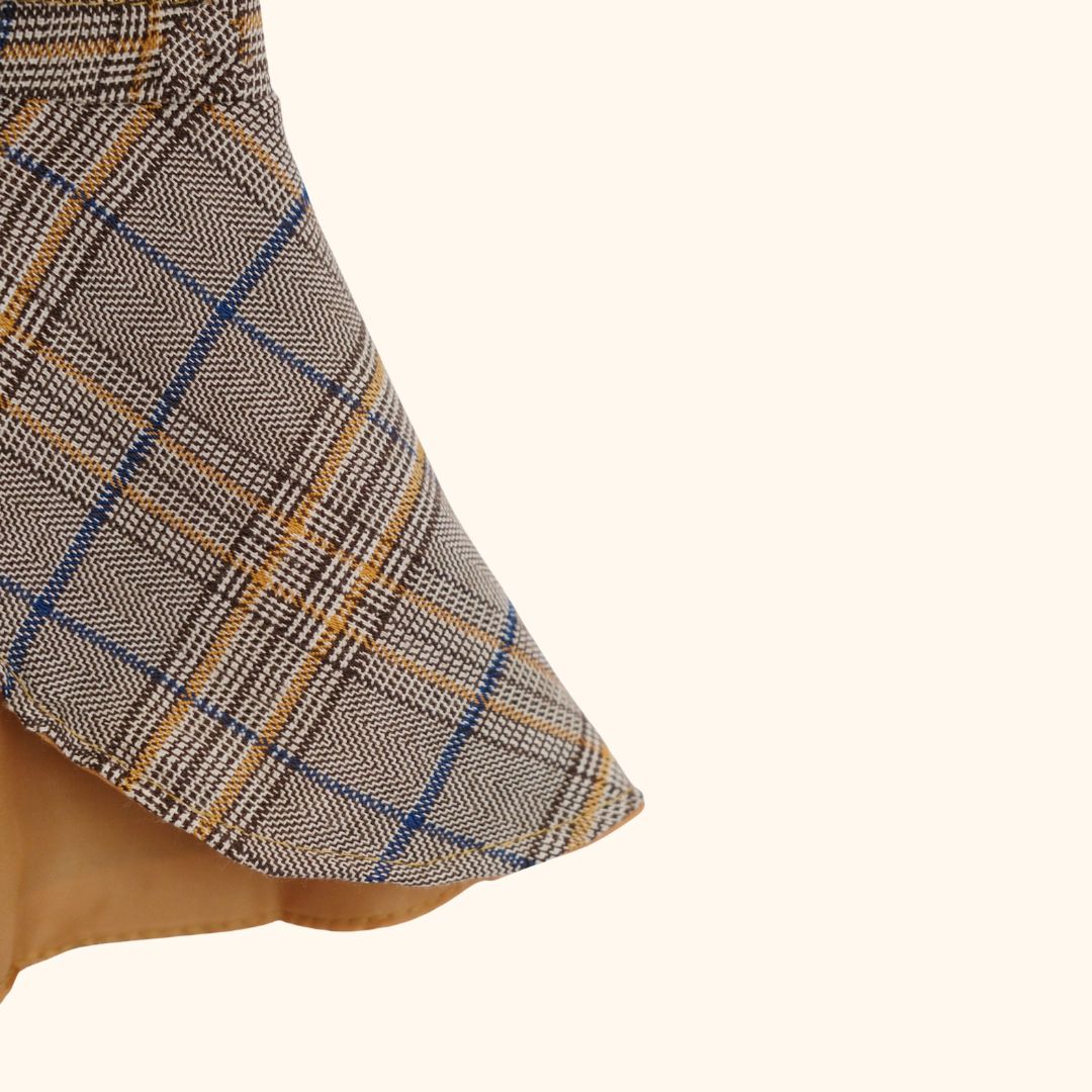 Sherlock Hound Detective Costume Set for Pets