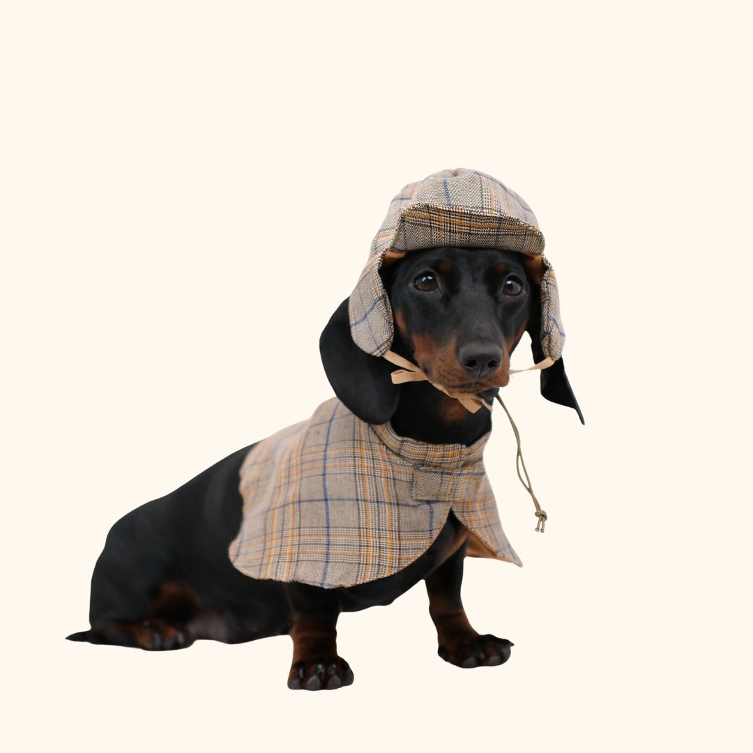 Sherlock Hound Detective Costume Set for Pets