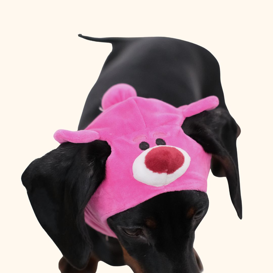 Strawberry Bear Warm Hat for Pets(Only One Size)