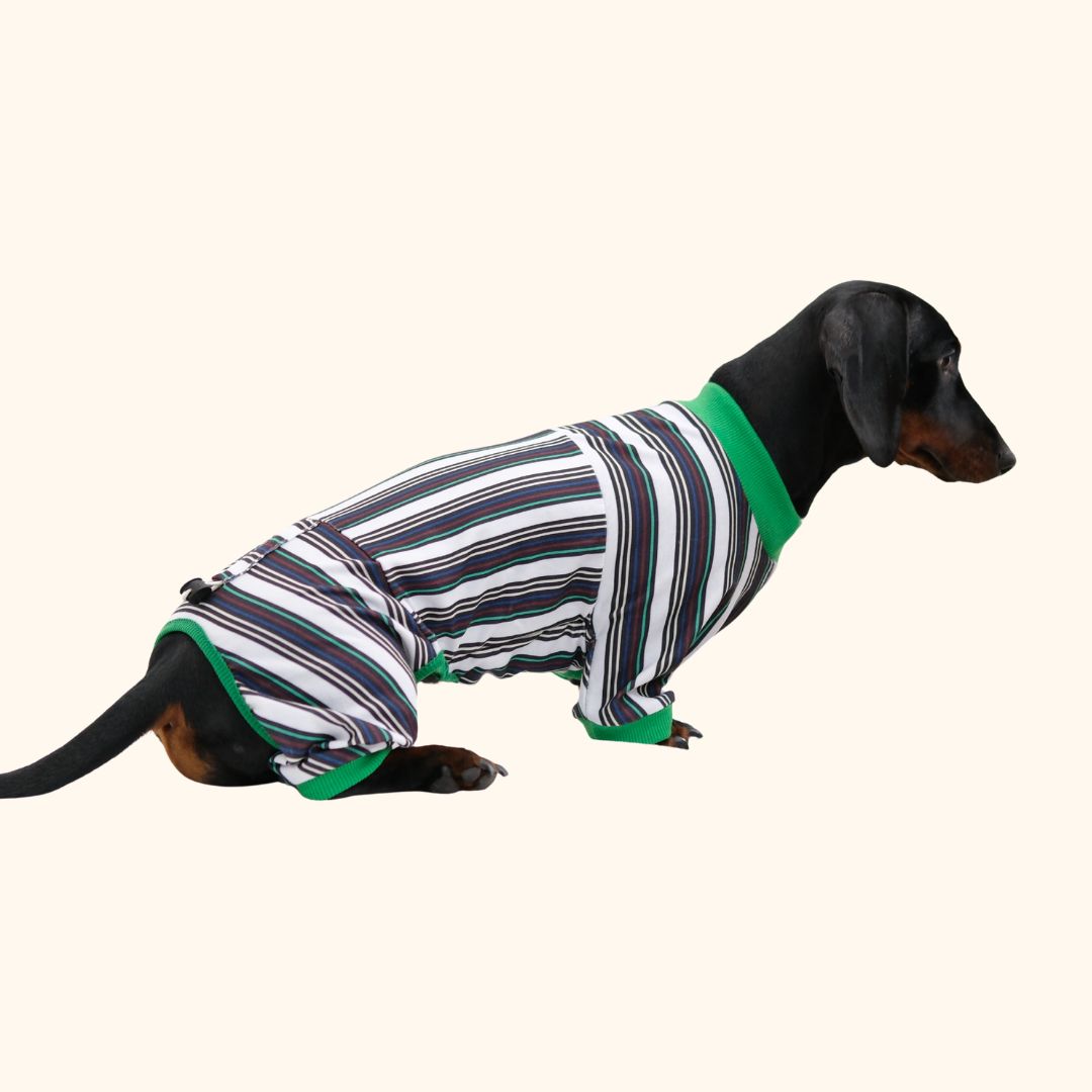 Striped Colorblock Pet Jumpsuit