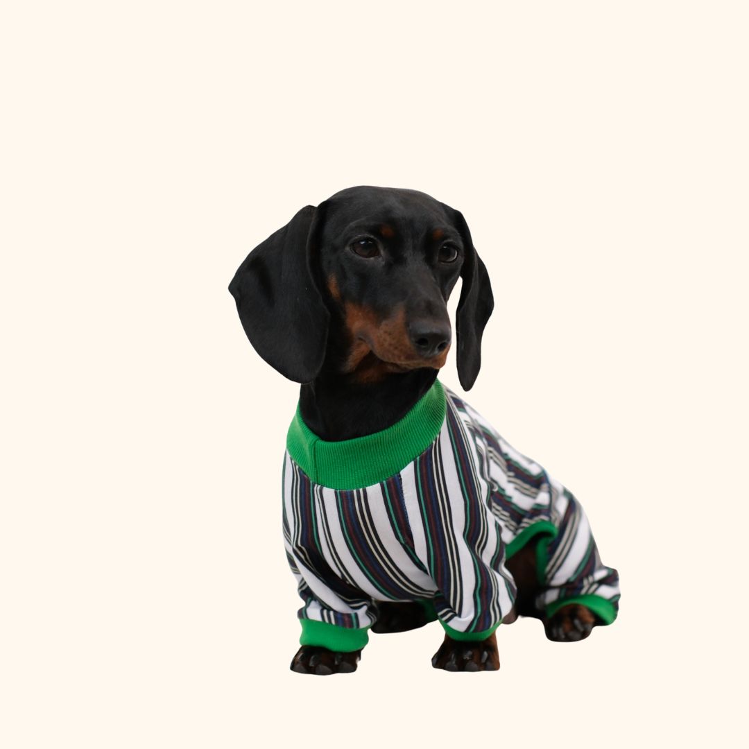 Striped Colorblock Pet Jumpsuit