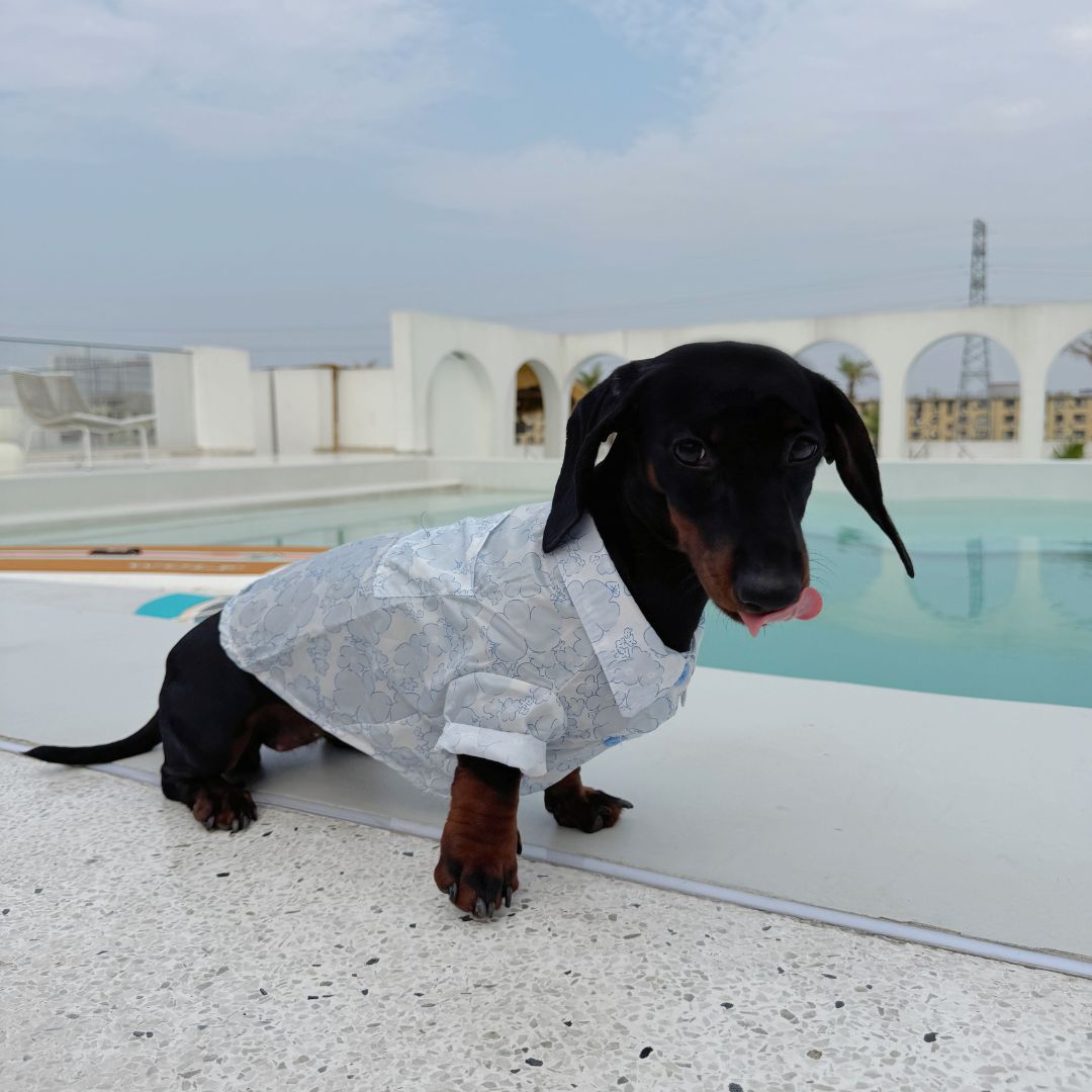 Pet Summer Sun Shirt