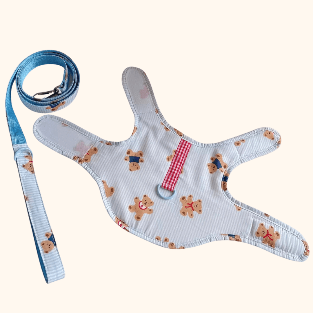 Harness & Leash Sets