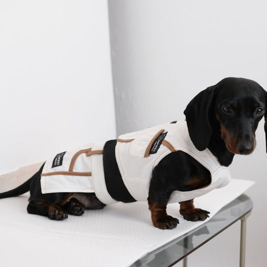 2-Piece Pet Vest
