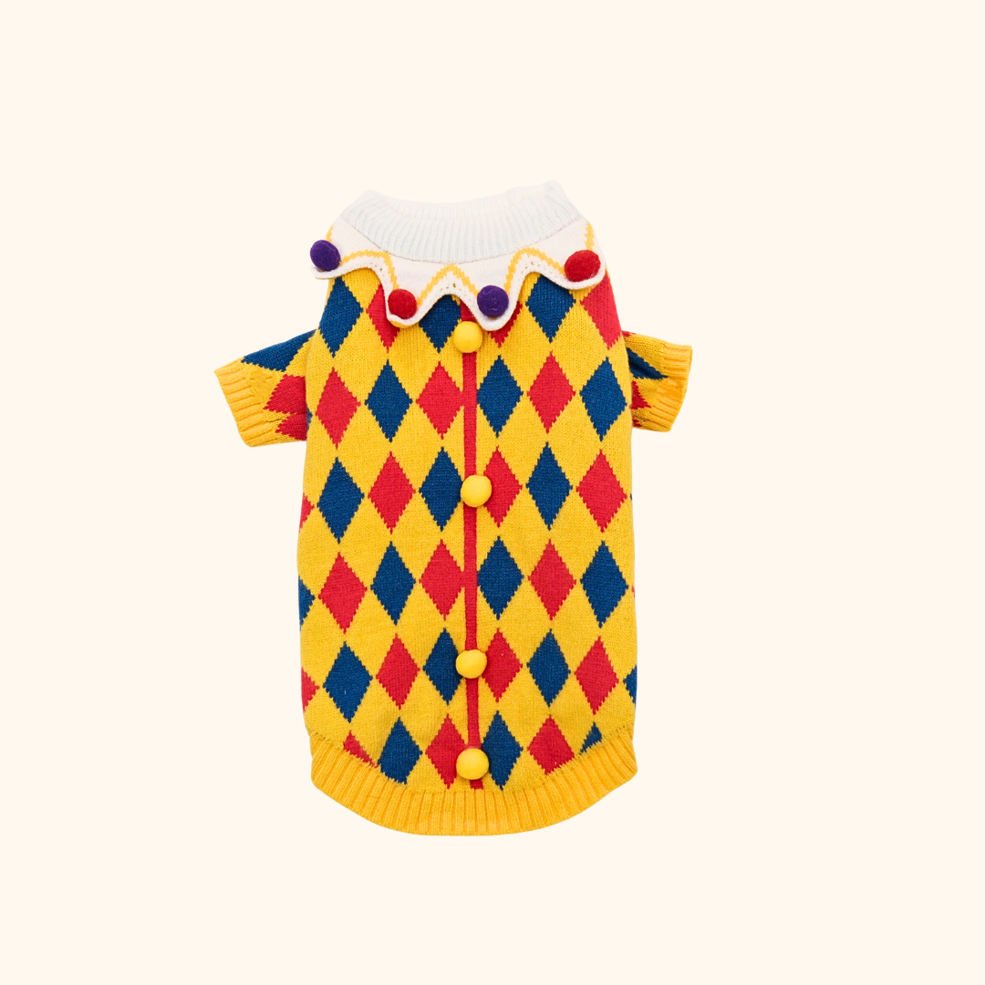 Circus Fun Pet Sweater