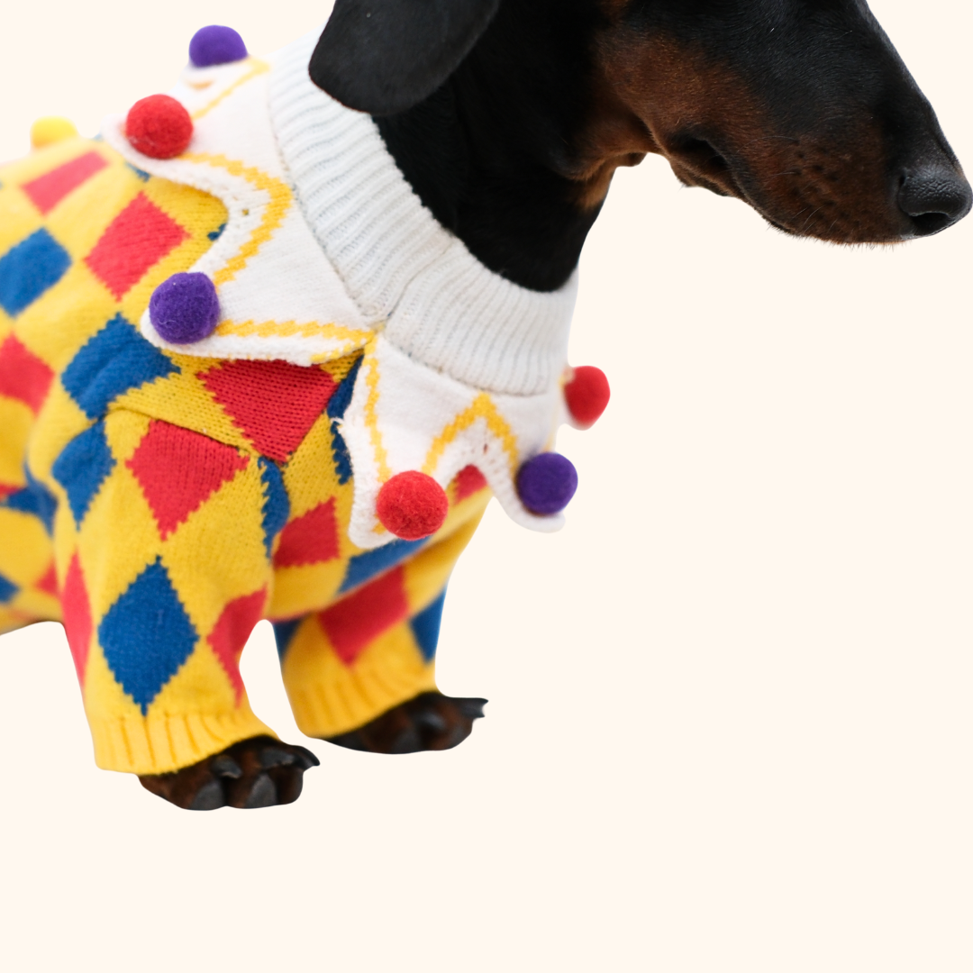 Circus Fun Pet Sweater