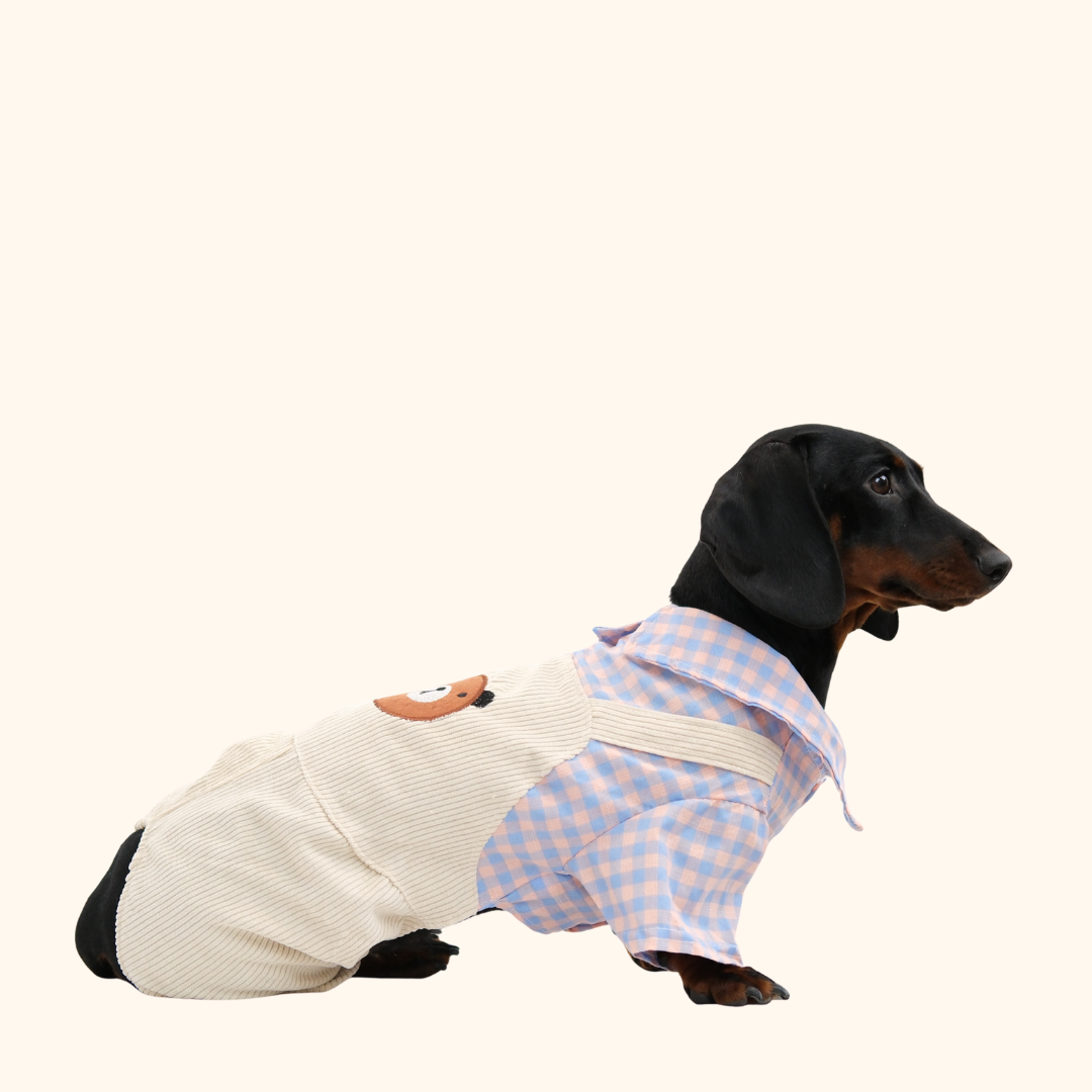 Plaid Bear Pet Overalls