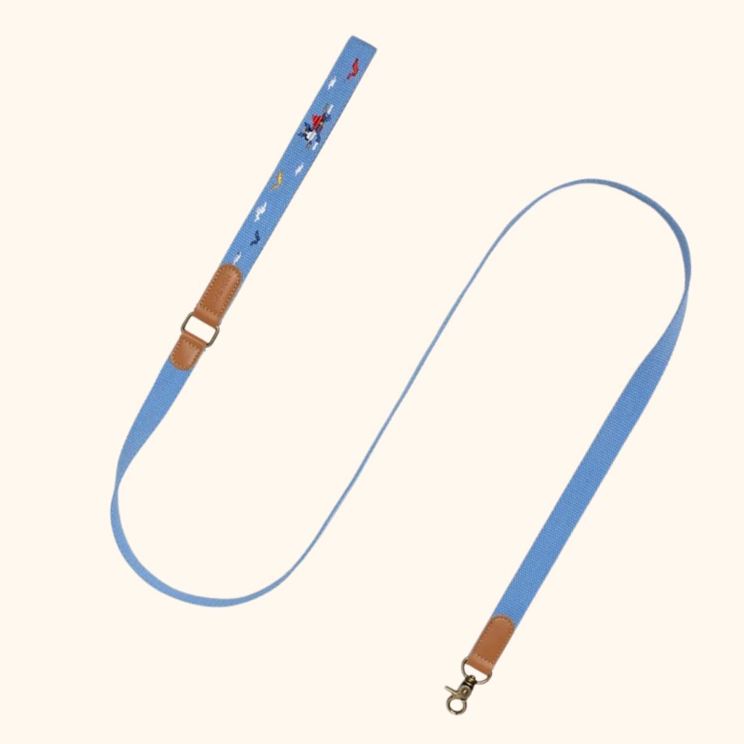Adventure Series Embroidered Pet Collar & Leash Set