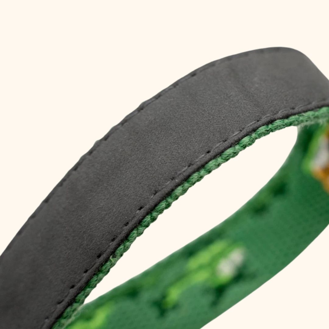 Adventure Series Embroidered Pet Collar & Leash Set
