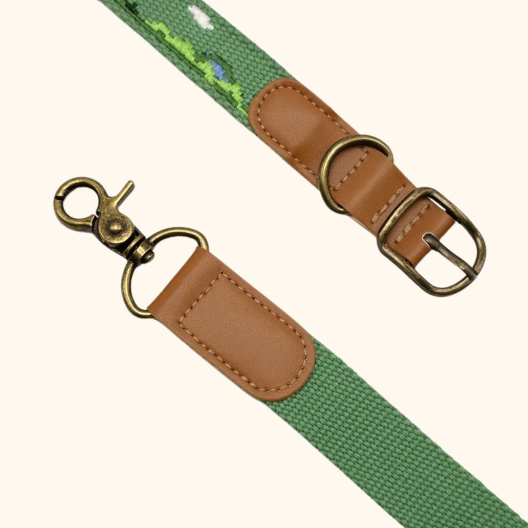 Adventure Series Embroidered Pet Collar & Leash Set