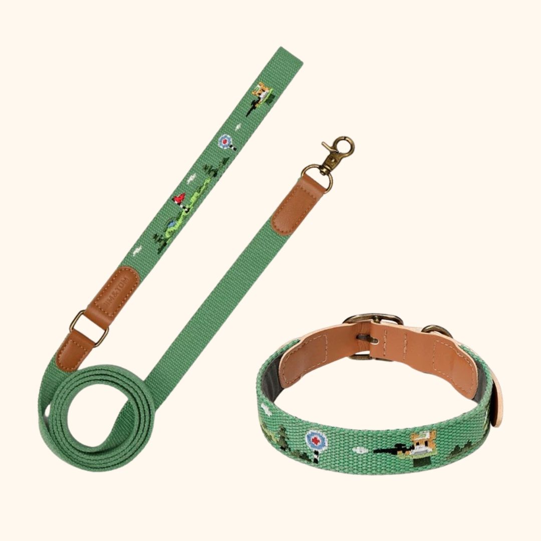 Adventure Series Embroidered Pet Collar & Leash Set