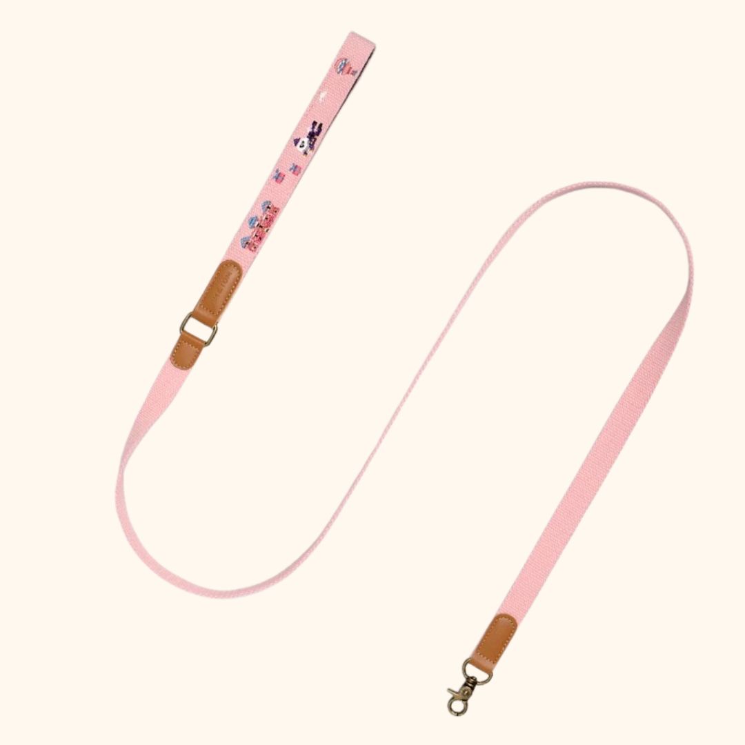 Adventure Series Embroidered Pet Collar & Leash Set