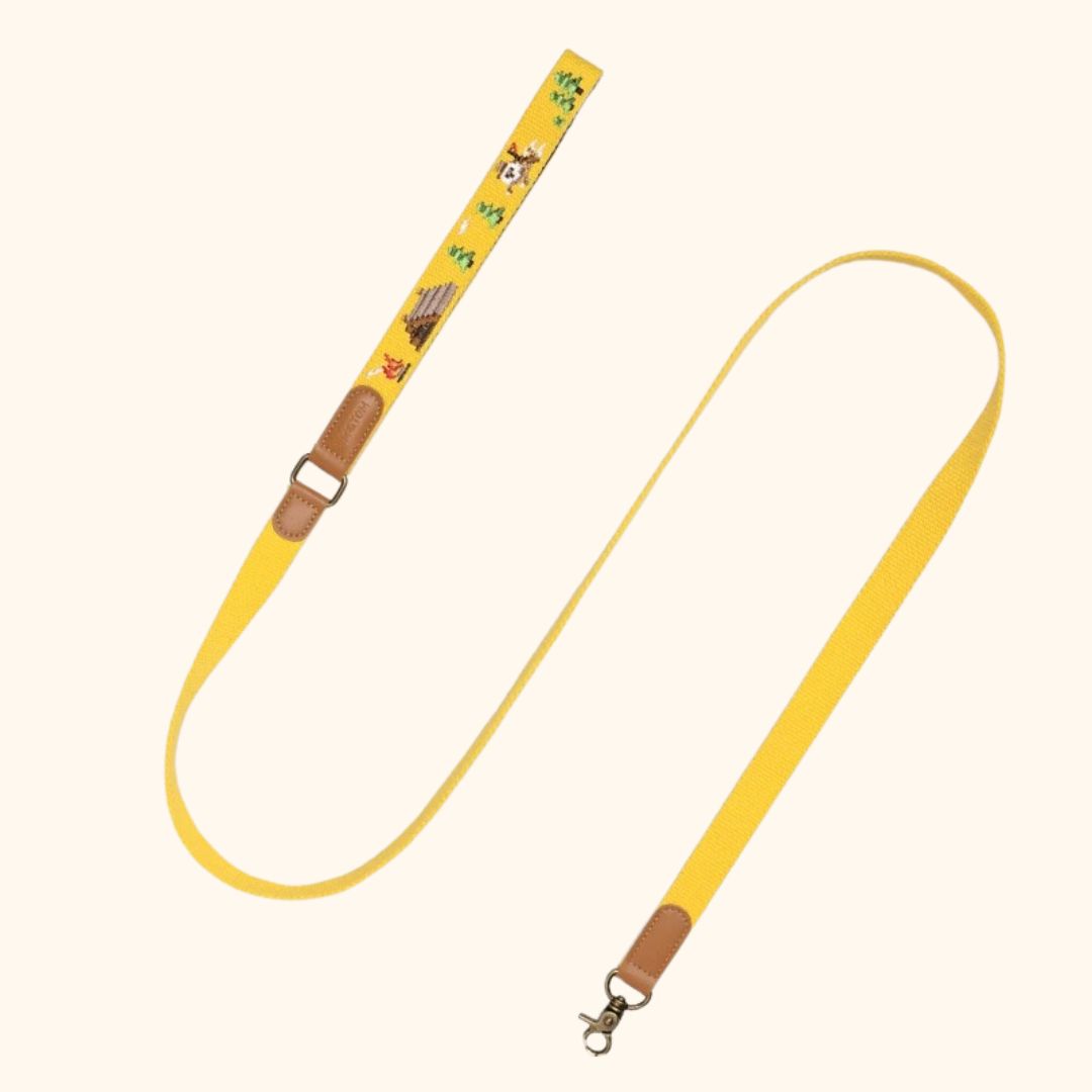 Adventure Series Embroidered Pet Collar & Leash Set