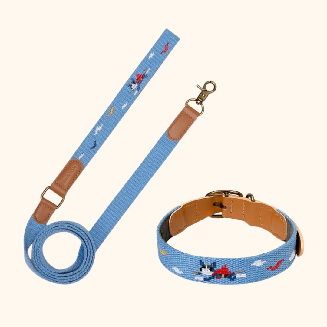 Adventure Series Embroidered Pet Collar & Leash Set