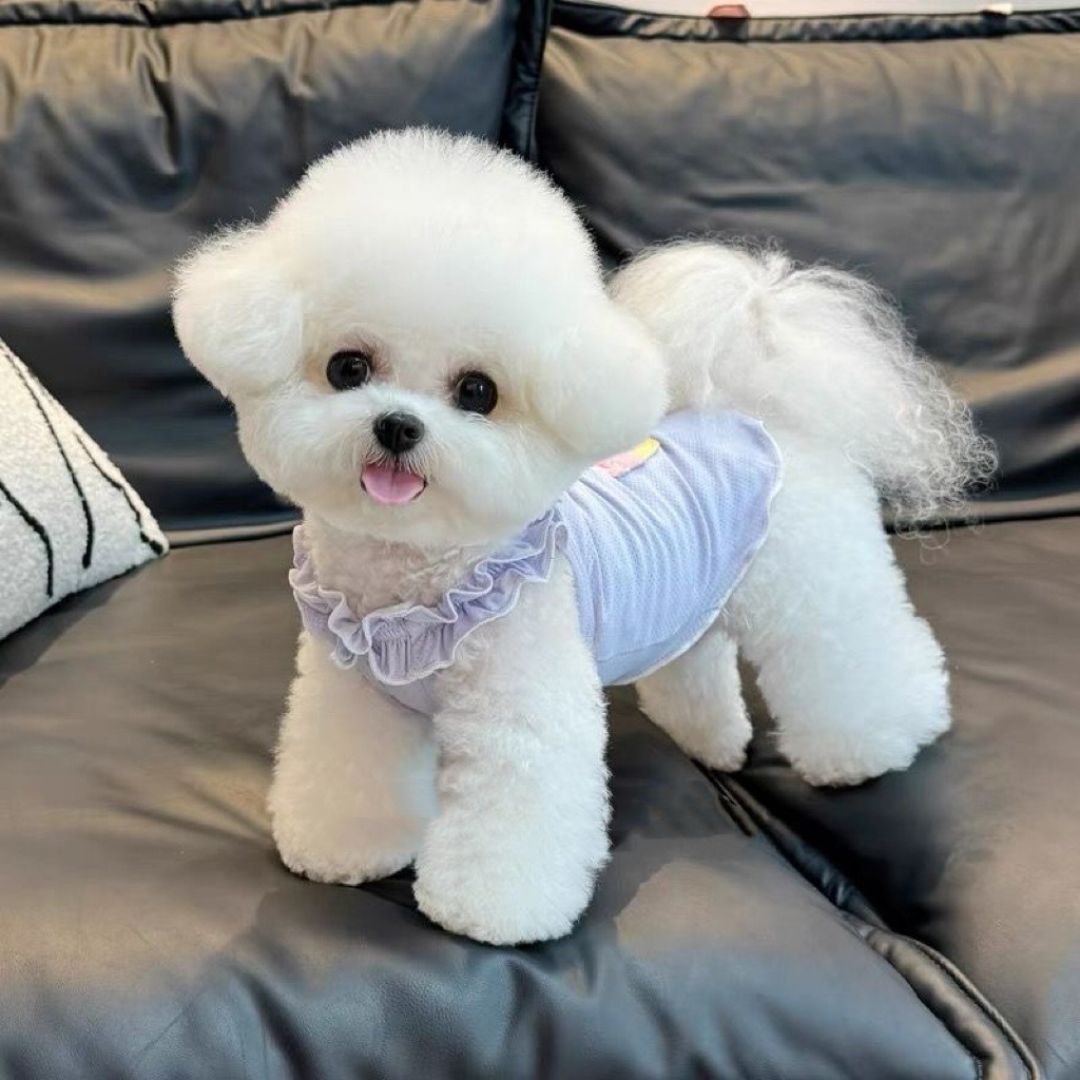 Coolflex Pet Vest