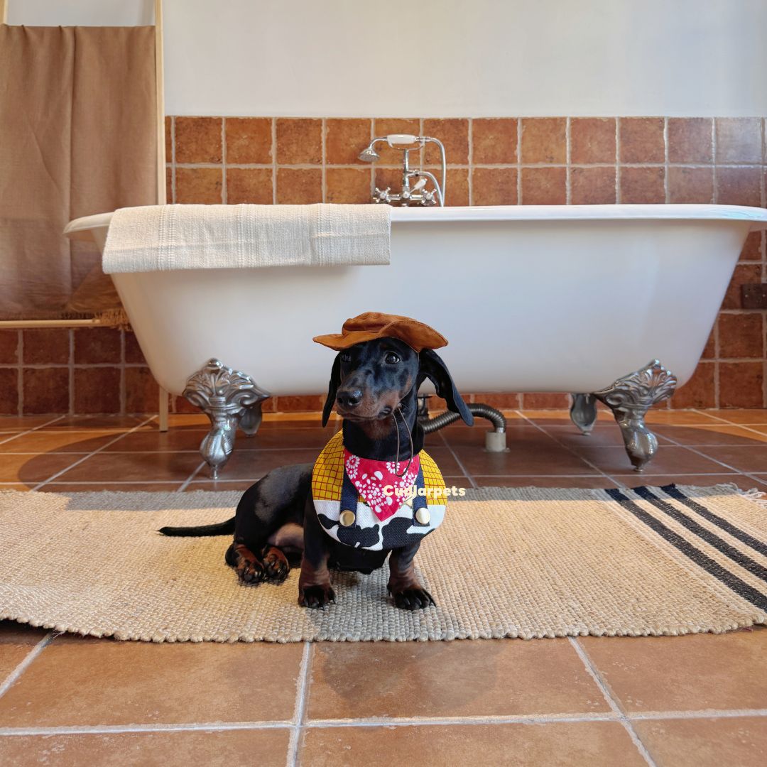 Cowboy Pet Bib & Hat Set