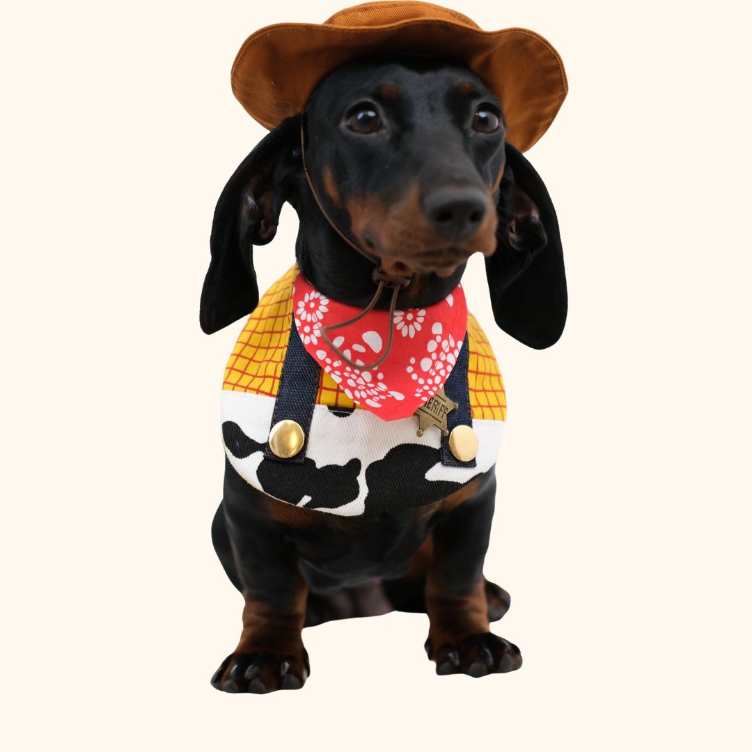 Cowboy Pet Bib & Hat Set