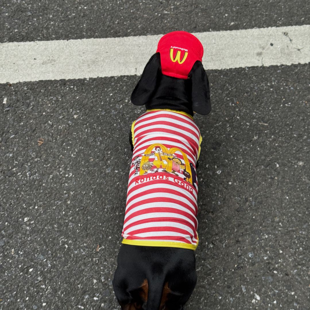 McDonald’s Pet Clothes Hat Set