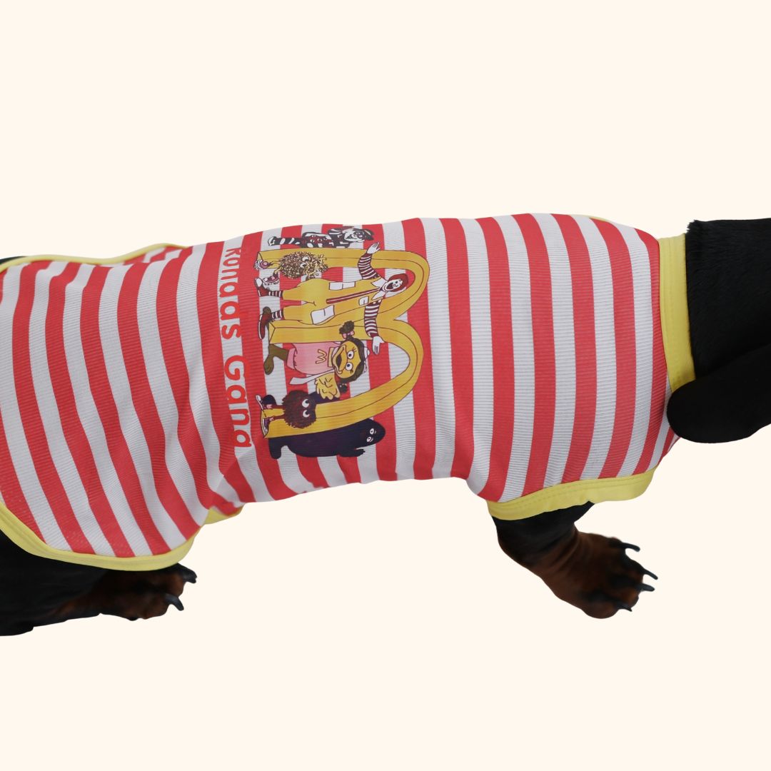 McDonald’s Pet Clothes Hat Set