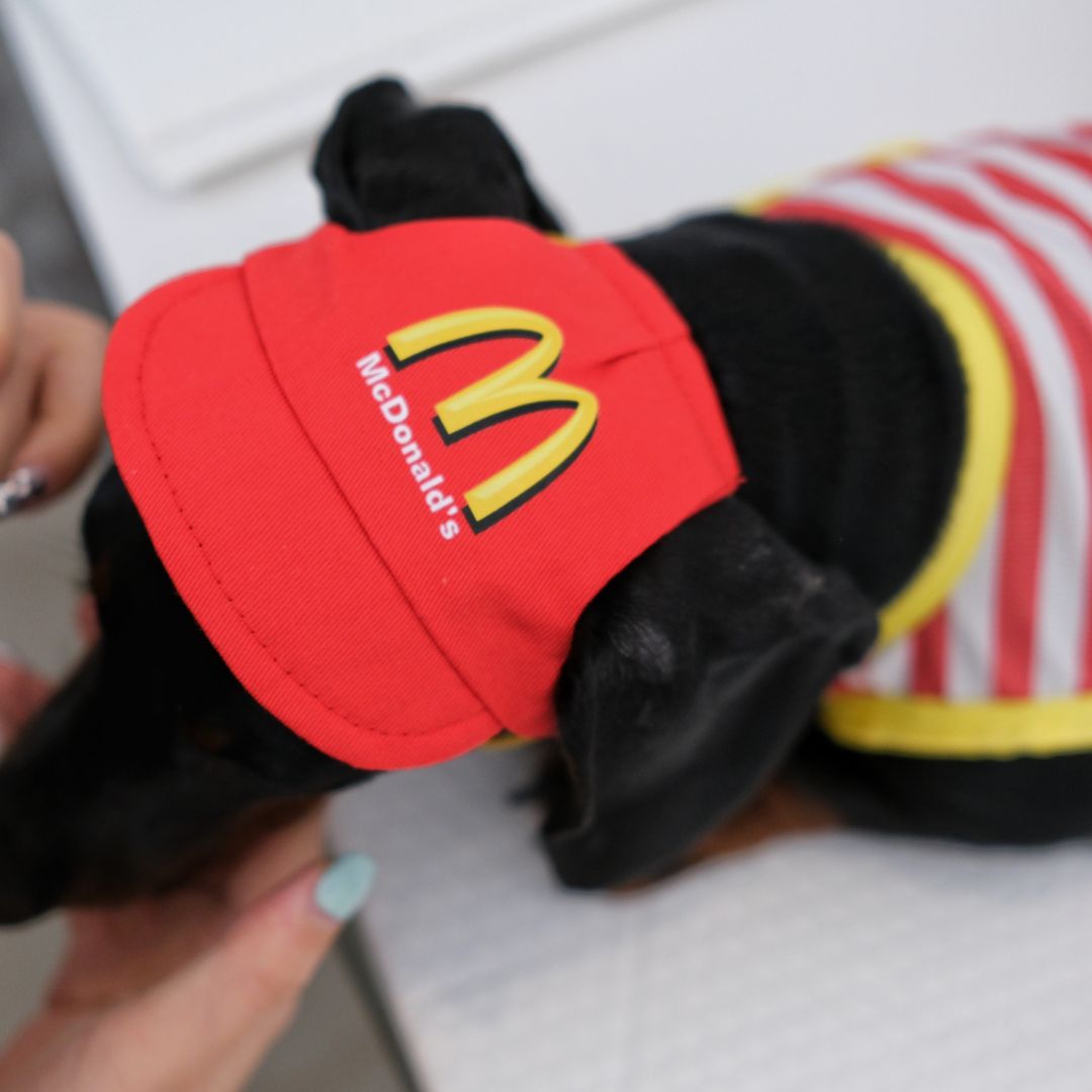 McDonald’s Pet Clothes Hat Set