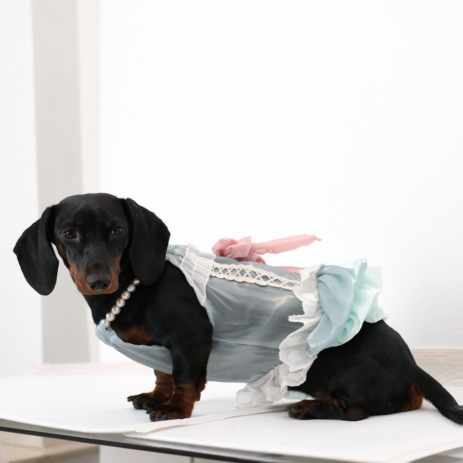 Pet Princess Lace Dress Elegant & Sweet Cudlarpets Pet Princess Lace Dress Elegant & Sweet Cudlarpets