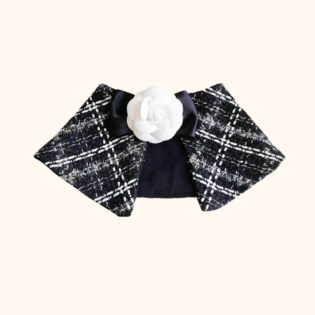 Pet Tweed Bib & Hat