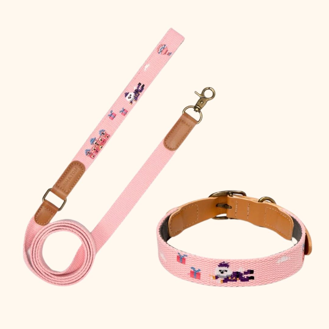 Adventure Series Embroidered Pet Collar & Leash Set