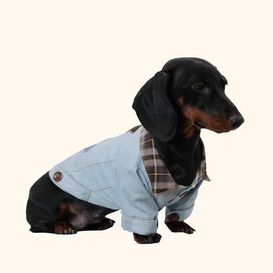 Star Patch Denim Pet Shirt