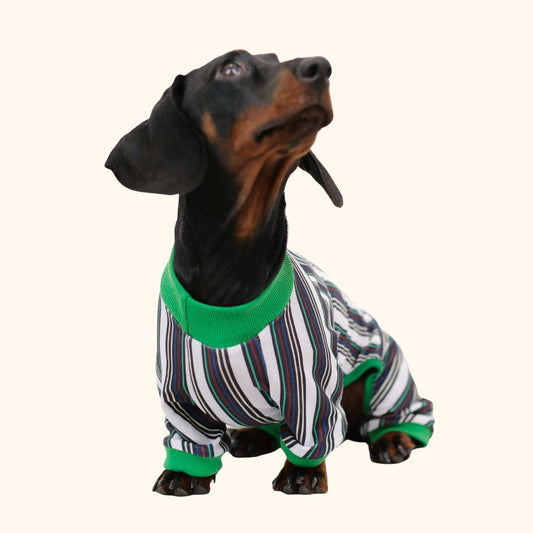 Striped Colorblock Pet Jumpsuit