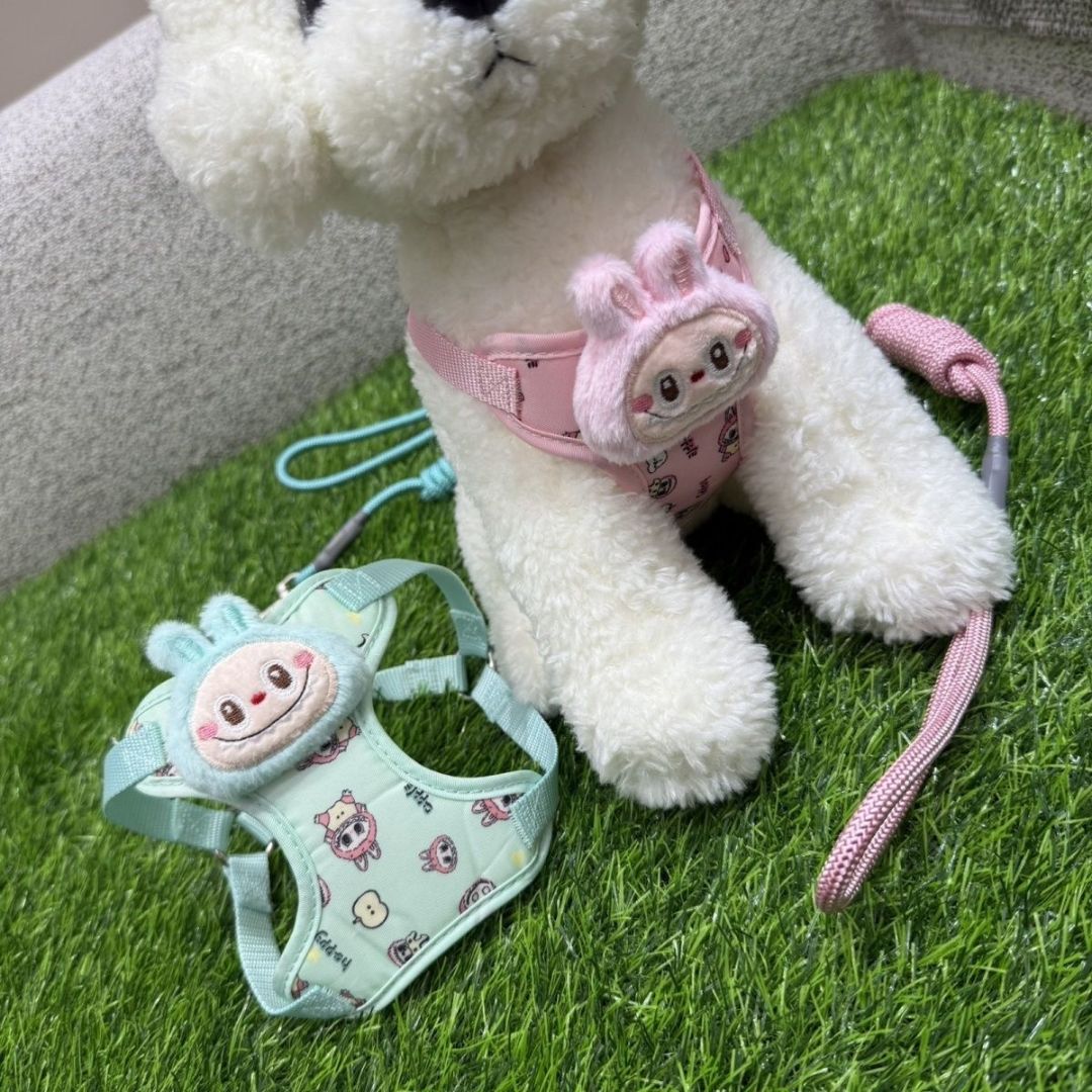 Whimsy Monster Pet Harness Set