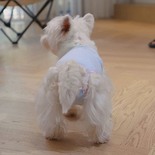Colorful Dog Heat Pants