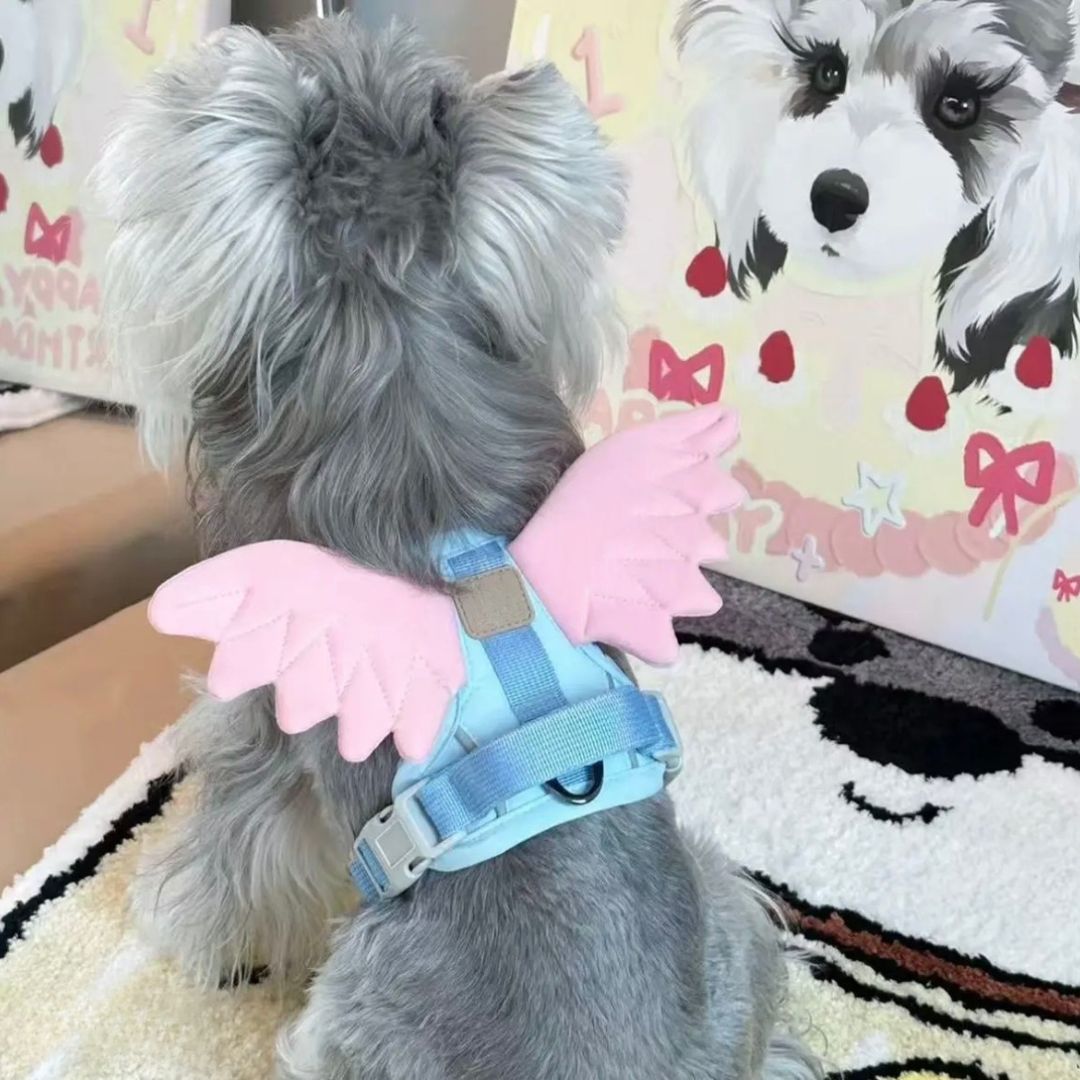 Angel & Devil Wings Pet Harness