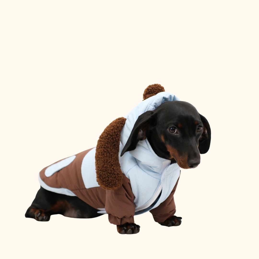 Puppy Ear Hooded Pet Winter Jacket