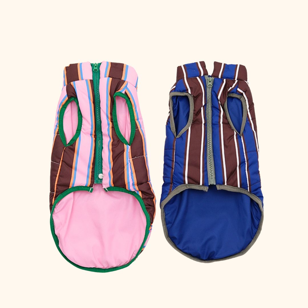 Colorblock Pet Winter Jacket