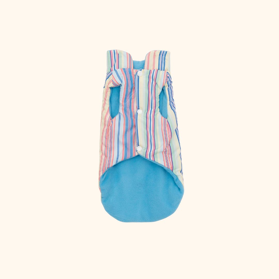Rainbow Striped Winter Dog Jacket