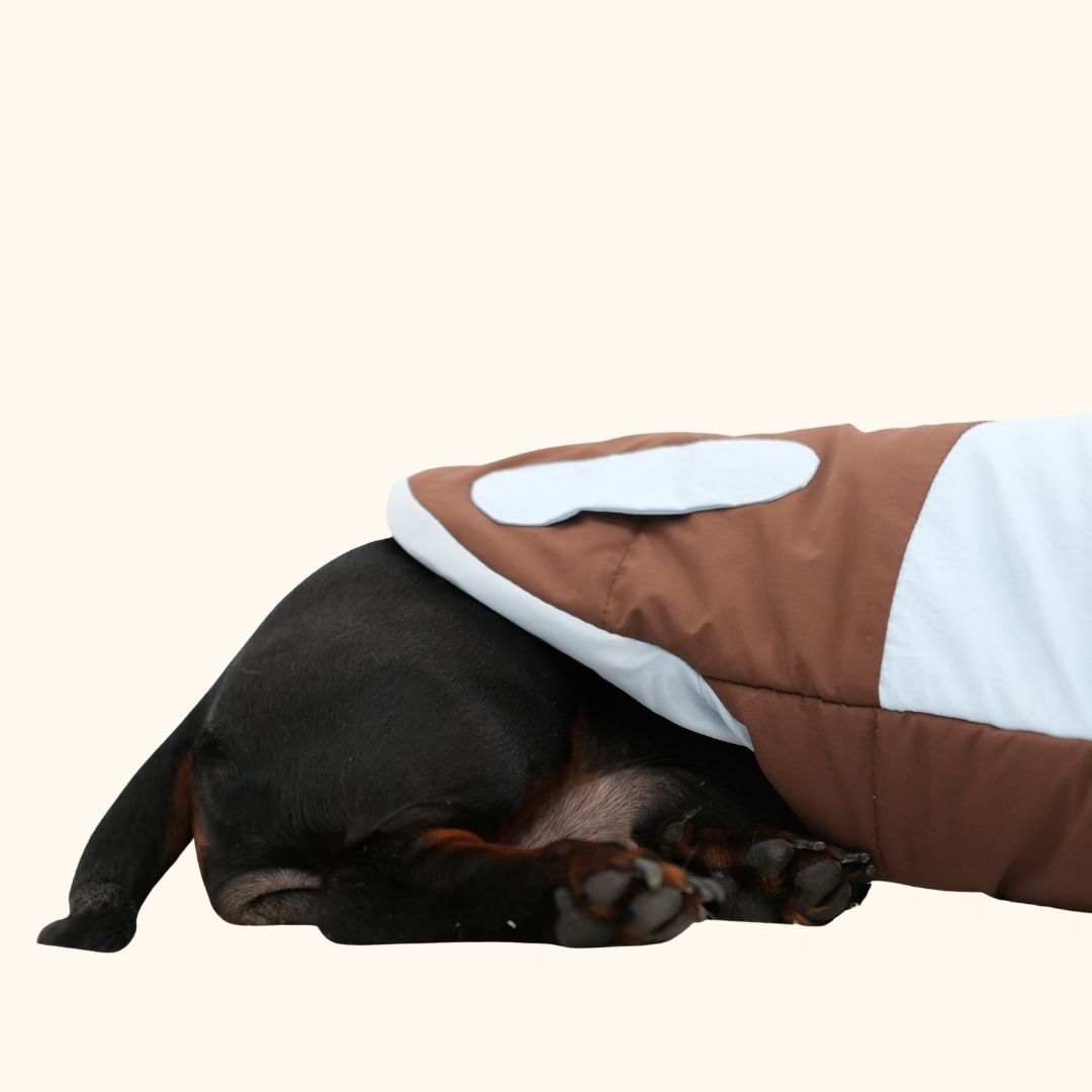 Puppy Ear Hooded Pet Winter Jacket