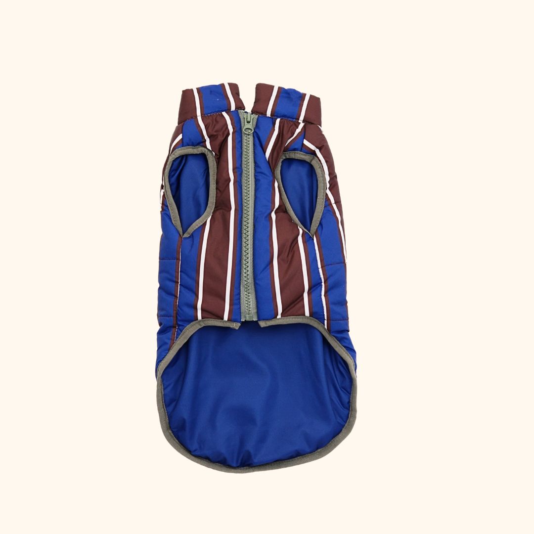 Colorblock Pet Winter Jacket