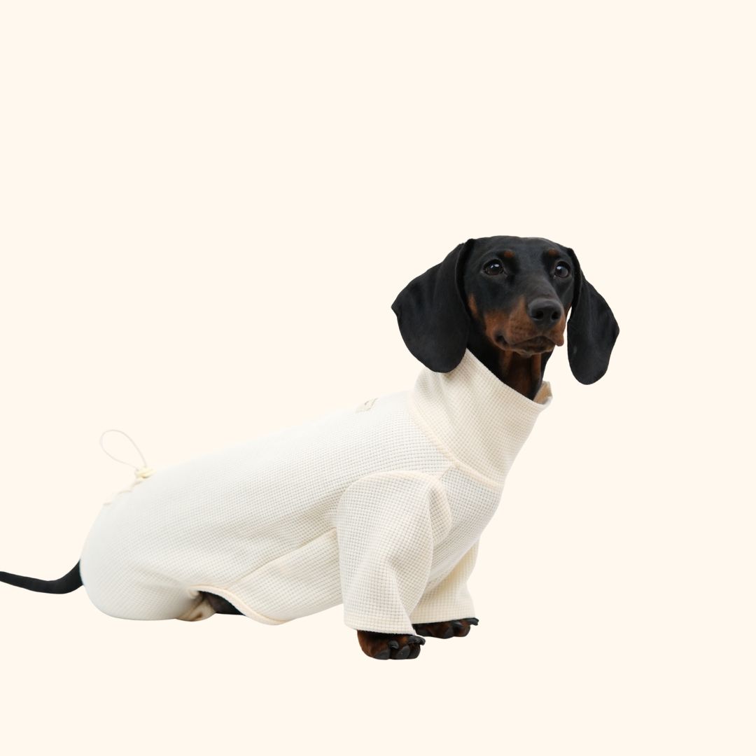Waffle Knit Pet Jumpsuit