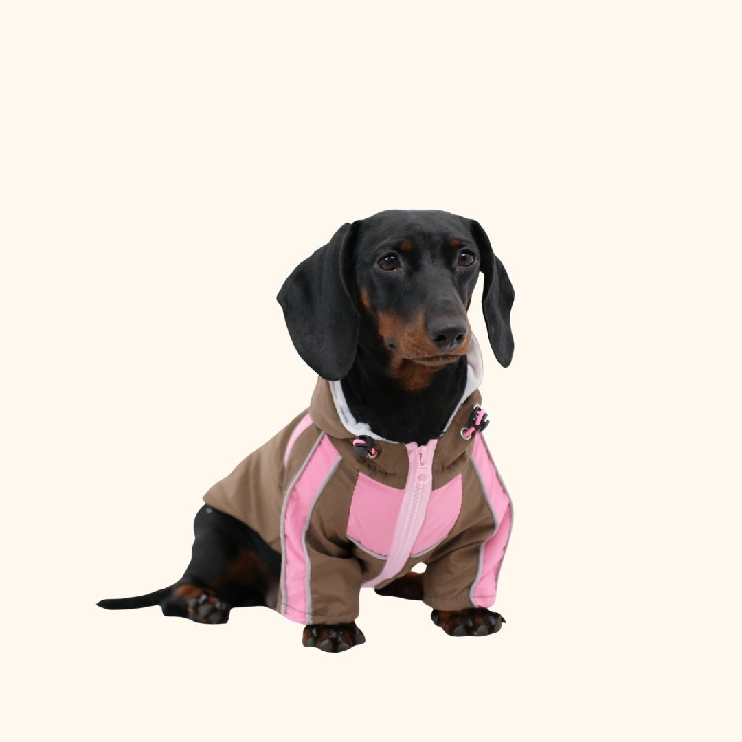 Outdoor Pet Raincoat