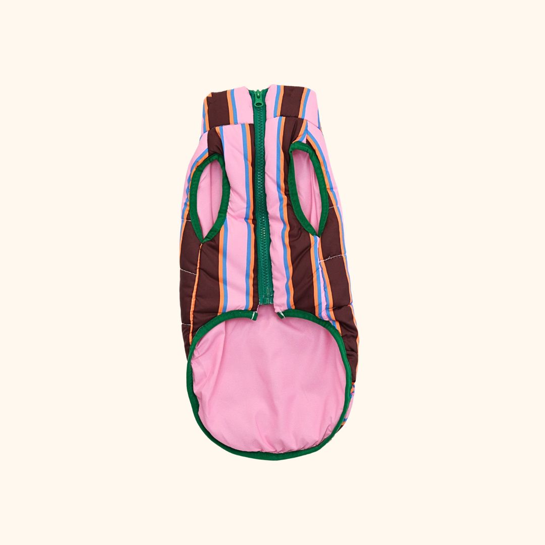 Colorblock Pet Winter Jacket